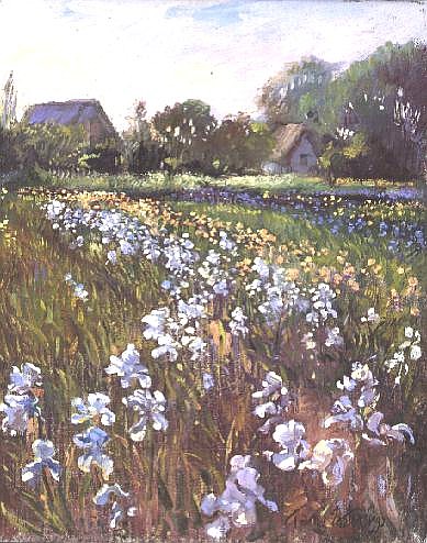 White Irises and Farmstead  à Timothy  Easton