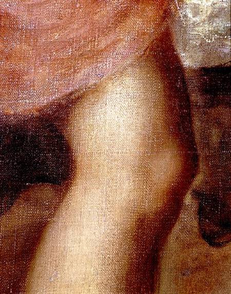 The Death of Actaeon, detail of Diana's knee à Le Titien (alias Tiziano Vecellio)