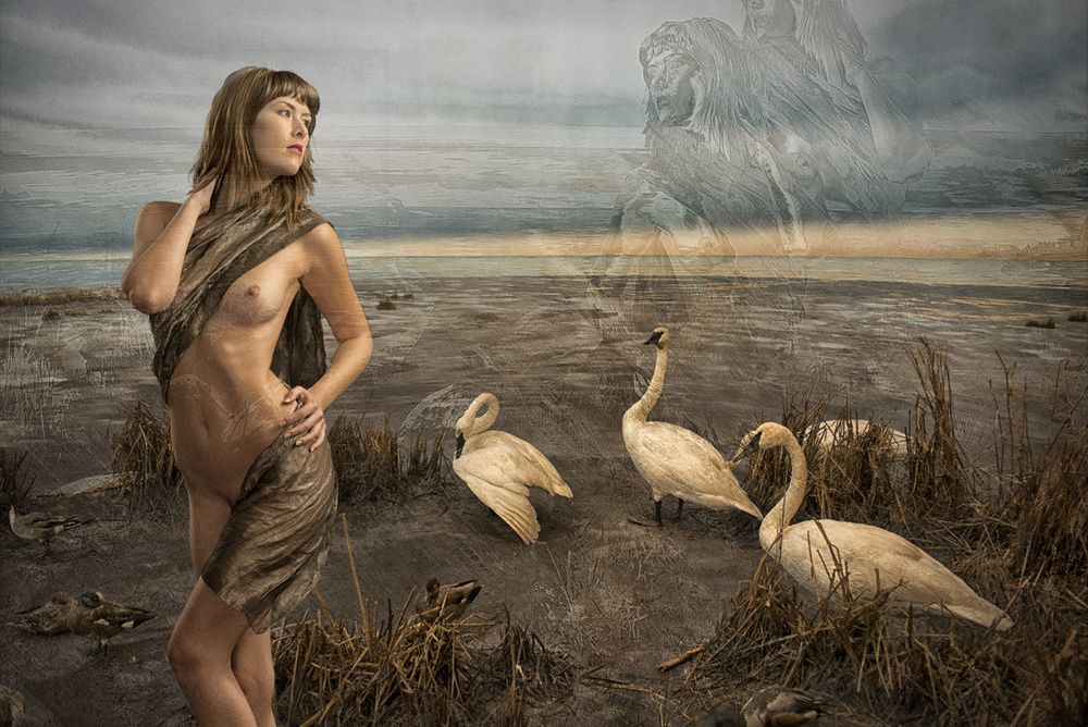Leda and the Swans à Tom Gore