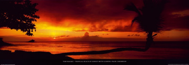 Titre de l‘image : Tom Mackie - Tropical Beach at Sunset