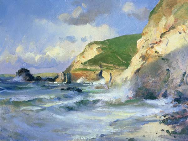 Cliffs at St. Agnes (oil on canvas)  à Trevor  Chamberlain