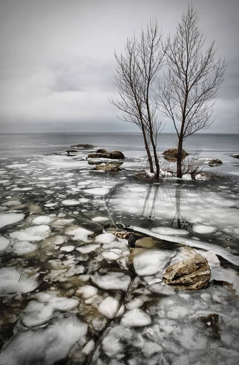 frozen lake à Vedran Vidak
