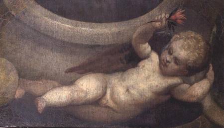 Putto with a red flower à Paolo Veronese (alias Paolo Caliari)