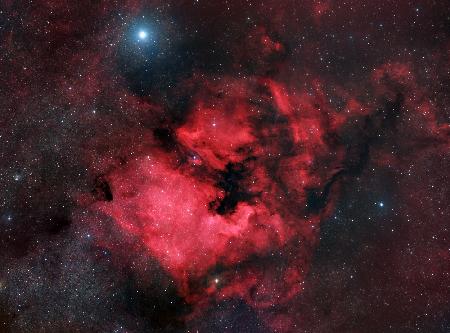 North American Nebula