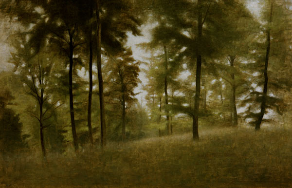 Beech Forest, Arresödal à Vilhelm Hammershoi
