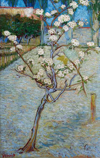 van Gogh/Blossoming pear tree/April 1888 à Vincent van Gogh