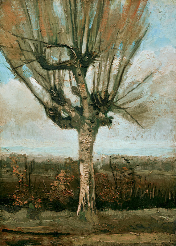 v.Gogh / Common white willow / 1884/85 à Vincent van Gogh