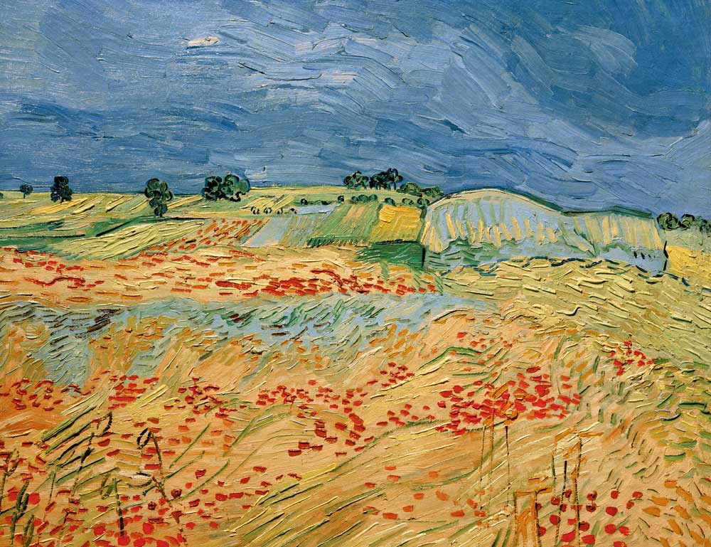 Van Gogh / Fields with Blooming Poppies à Vincent van Gogh