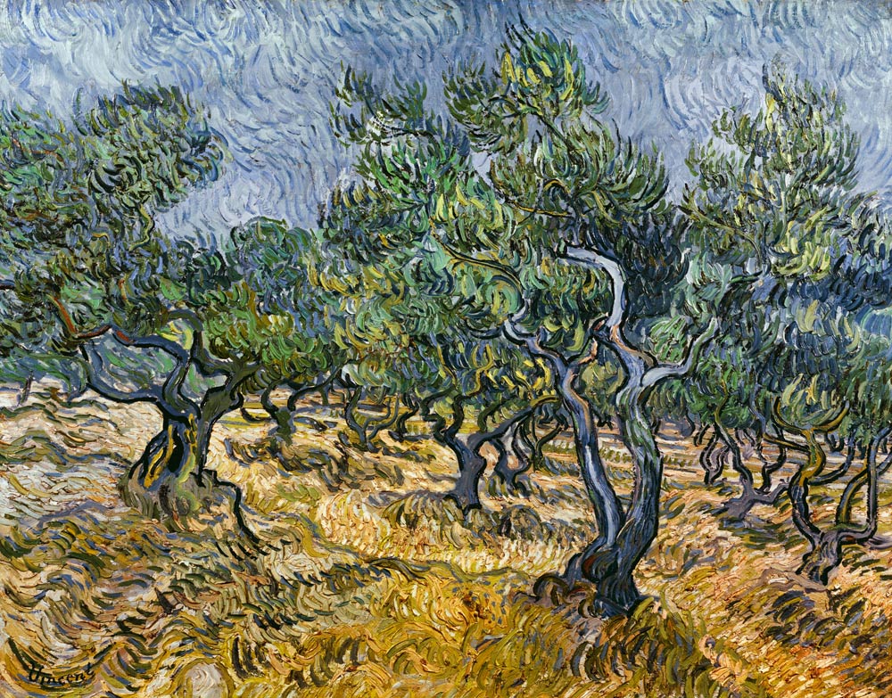 Oliveraie à Vincent van Gogh