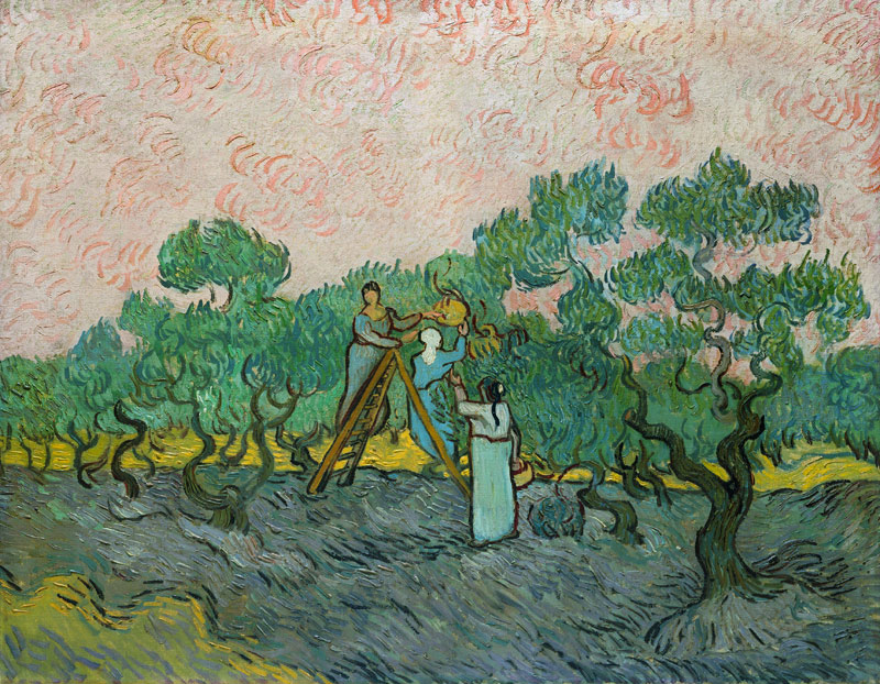 The Olive Pickers, Saint-Remy à Vincent van Gogh