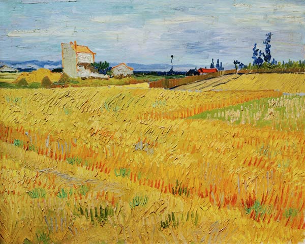 V.v.Gogh, Wheat Field / Paint./ 1888 à Vincent van Gogh