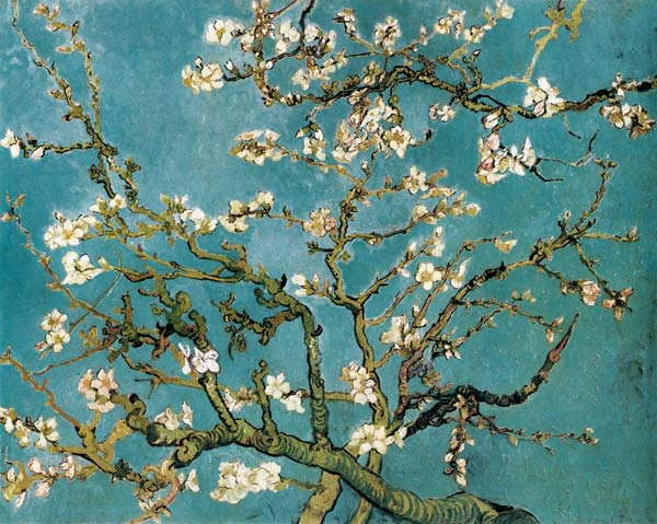 Amandier en fleurs - peinture huile sur toile de Vincent van Gogh