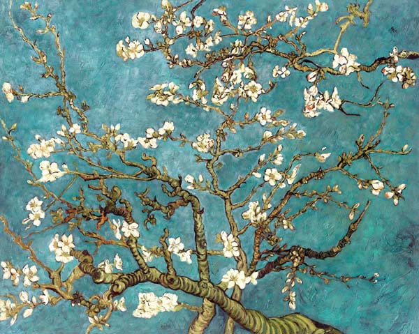 Amandier en fleurs (copie) - Vincent van Gogh en reproduction imprimée ou  copie peinte à l\'huile sur toile