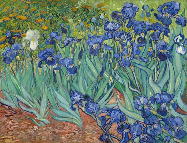 Les iris à Vincent van Gogh