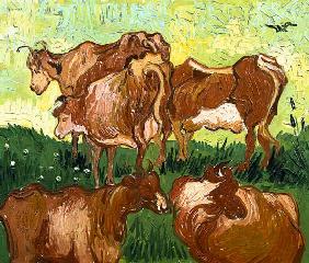 Vaches