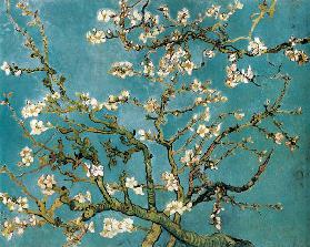 Amandier en fleurs - Vincent van Gogh
