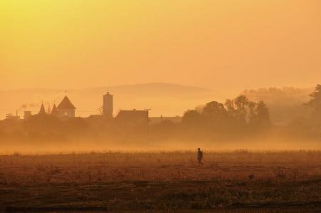 barbatul matinal (the morning man)