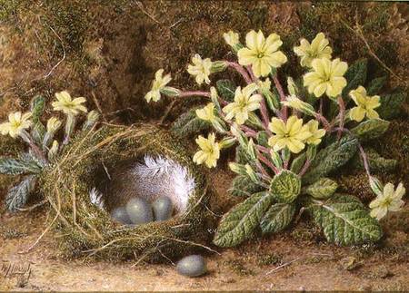 Still Life of Eggs in a Nest and Primroses à William B. Hough