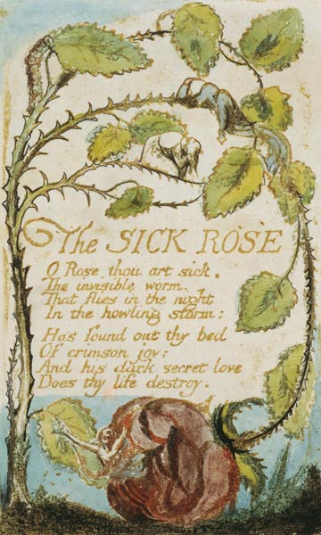 The Sick Rose, from Songs of Innocence à William Blake