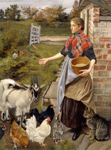 Feeding the Chickens à William Edward Millner
