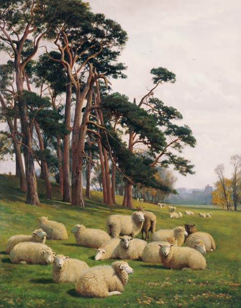 Sunlit Pastures à William Sidney Cooper