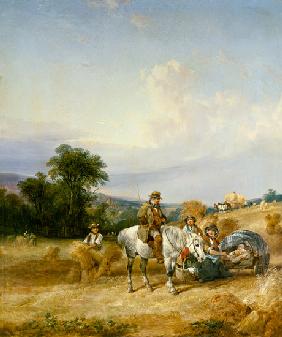 Harvesting Scene