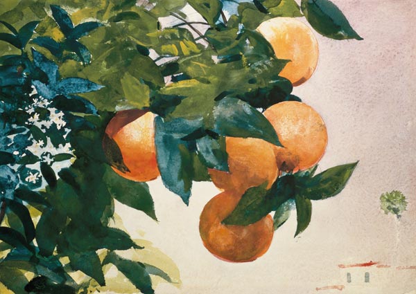 Branche avec oranges à Winslow Homer