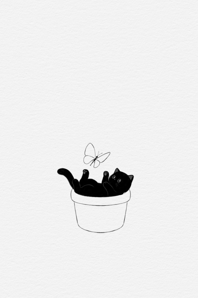 Cute Black Cat à Xuan Thai