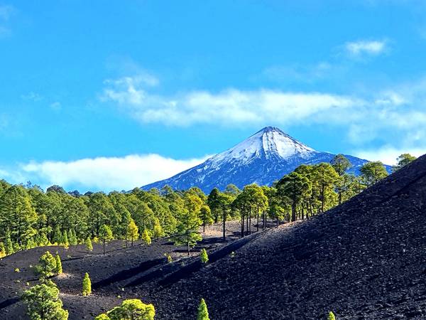 Blick auf den Teide à zamart